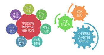 中國(guó)青年網(wǎng)發(fā)布2019年度中國(guó)十大營(yíng)銷(xiāo)策劃公司排名，南方略咨詢連續(xù)入榜領(lǐng)銜網(wǎng)絡(luò)營(yíng)銷(xiāo)策劃